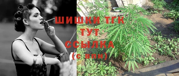 таблы Алзамай