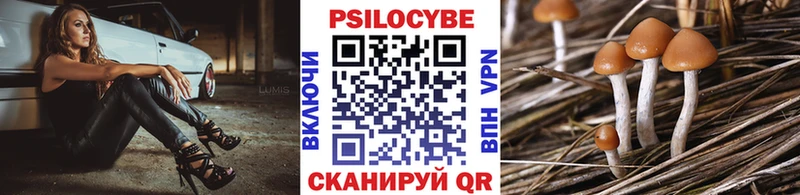 Галлюциногенные грибы GOLDEN TEACHER  магазин    Берёзовский 